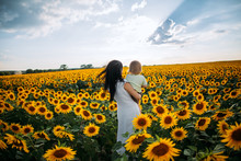 Mom And Son Are Playing In The Field Of Sunflowers