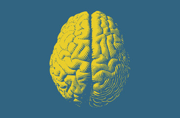 Monochrome drawing brain vintage style