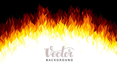 Wall Mural - realistic vector fire flames on black background