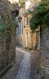 Fototapeta Na drzwi -  Typical French townscape with ancient housest and cobblestone street in the traditional town Beynac-et-Cazenac, France
