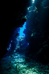 Wall Mural - Caves of the Paradise reef at the Red Sea, Egypt