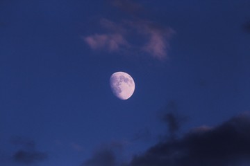full moon in the sky