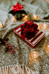 Poster - Christmas themed gift box with a poinsettia