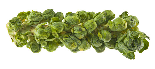 Sticker - brussels sprouts isolated on white background