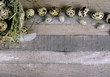 Quail eggs with stone egg decoration at wooden background
