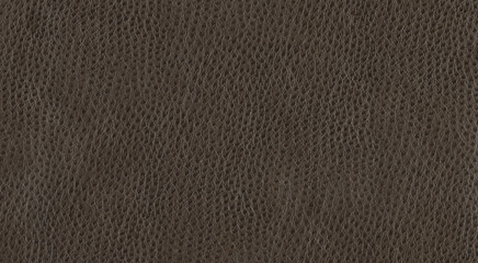 Wall Mural - Brown leather background surface.