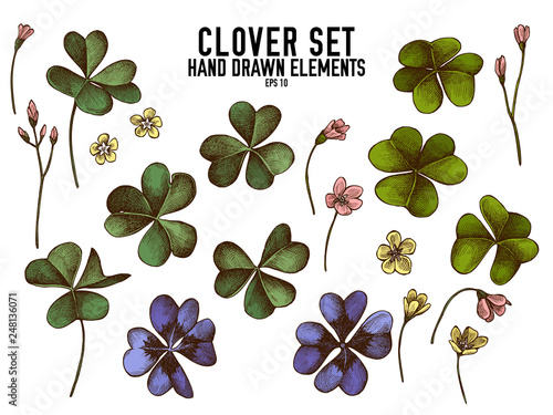 Fotografía Vector collection of hand drawn colored clover