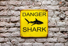 Danger Shark Yellow Warning Sign On A Wall