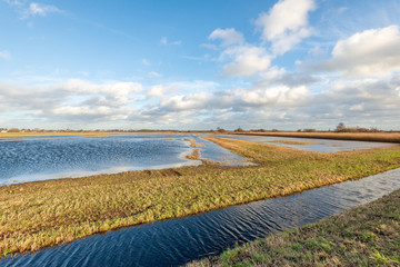 Sticker - Dutch polder landscape in winter