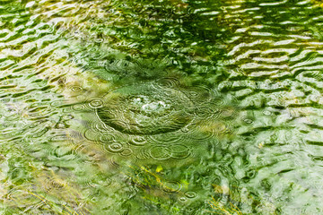 Circles on the surface of the reservoir as a background