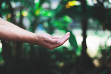 Two Hand of Man reaching out receiving rainwater