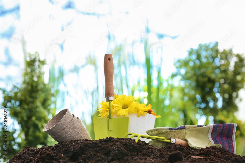Gardening tools with flowers on soil outdoors