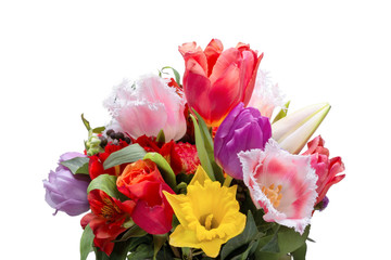 A bunch of colorful tulip flowers isolated on white background