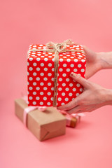 Wall Mural - Hands holding gift box Packed in red polka dot paper on pink background. Holiday card for Valentine's and women's day