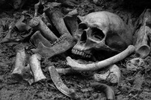 The Skulls And Pile Bone In Pit The Graveyard; Discover By Dig In Cemetery Adjustment Color Black And White.