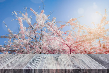Wall Mural - Empty table top for product display montage. Cherry trees in bloom, springtime blurred in the background.