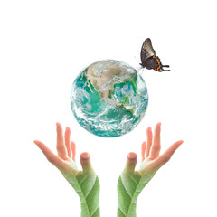 World environment day and ecological friendly concept with green planet on hands with tree leaves: Elements of this image furnished by NASA