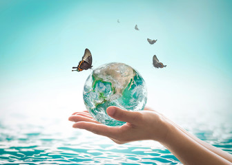 Wall Mural - World ocean day,, saving water campaign, sustainable ecological ecosystems concept with green earth on woman's hands on blue sea background : Element of this image furnished by NASA .