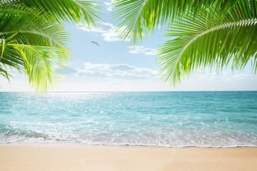 Wall Mural - View of nice tropical beach with some palms