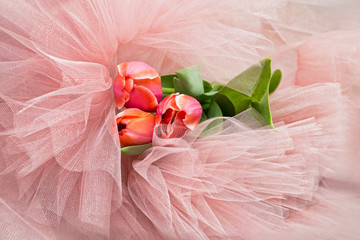 Wall Mural - spring pink tulips in a bunch of powdery pink tulle