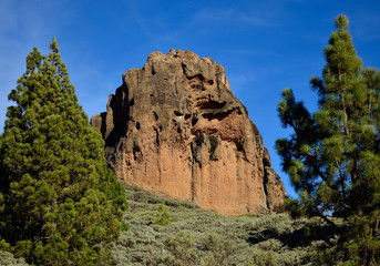 Roque Saucillo, among pines and blue sky, Valsequillo, Gran Canaria