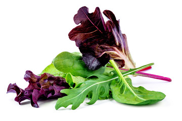 Salad leaves mix with rucola, purple  lettuce, spinach and  chard, leaf isolated on white background.