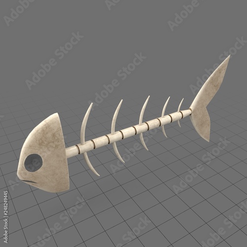 Fish Bones Buy This Stock 3d Asset And Explore Similar Assets At