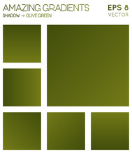 Colorful Gradients In Shadow, Olive Green Color Tones. Actual Gradient Background, Majestic Vector Illustration.