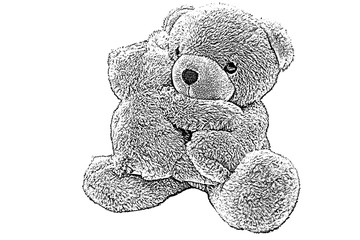 Wall Mural - teddy bear,sketch teddy bear,drawing teddy bear isolated on white background