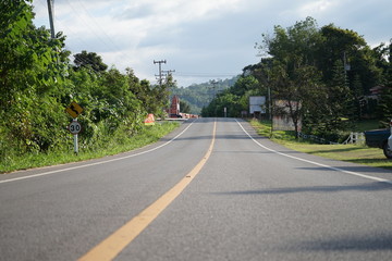 road in forest