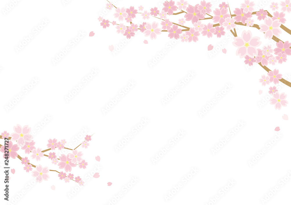 桜のある春の風景のイラスト 白背景 横長の書式で横書き用 Wall Mural 深澤カラス