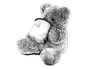 Wall Mural - teddy bear,sketch teddy bear,drawing teddy bear isolated on white background