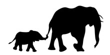 Silhouette Of Elephant With Baby Elephant Vector Illustration
