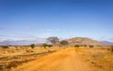 Fototapeta Sawanna - Safari road in Kenya