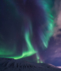 Wall Mural - the polar arctic northern lights aurora borealis sky star in norway travel svalbard in longyearbyen 