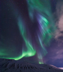 Wall Mural - the polar arctic northern lights aurora borealis sky star in norway travel svalbard in longyearbyen 