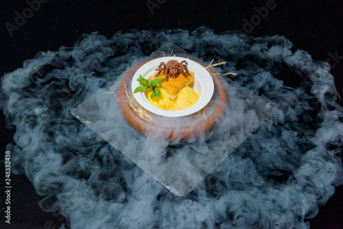 Serving Dishes With Liquid Nitrogen Fruit Ice Cream Balls Chocolate Spider Sweet Dessert Fresh Green Leaf Of Mint Piece Of Pie Beautiful Dessert Serving Halloween Menu Stock Photo Adobe Stock