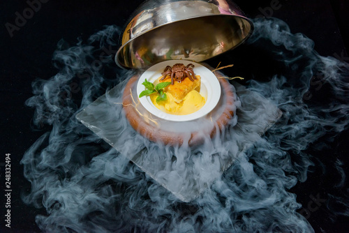 Serving Dishes With Liquid Nitrogen Fruit Ice Cream Balls Chocolate Spider Sweet Dessert Fresh Green Leaf Of Mint Piece Of Pie Beautiful Dessert Serving Halloween Menu Stock Photo Adobe Stock