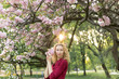 © Svetlana - girl the blonde. girl near cherry blossoms. It's spring. cherry blossoms. the girl in the Burgundy dress. Sakura on twilight. portrait at sunset