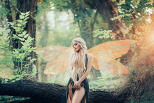 Real Fairy Magic Goddess Nature Transparent Wings Costume Fly Dense Forest Log Leaves, Pixie Cloches Enjoy Nature Love Listens Singing, Charming Lady Sun Light Sexy Long Bare Legs Cute Face Blonde Art