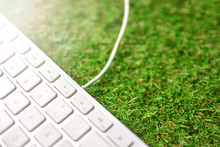 Computer Keyboard On A Green Grass. Work In Nature And In Calm Concept.