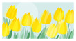 Yellow decorative tulip floral header template