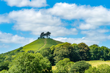 Colmers Hill Near Symondsbury, Dorset, UK