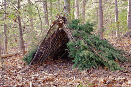 Primitive Bushcraft survival debris hut with campfire ring outside. Blanket, shelter, fire in the forest.