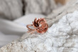 Fashioned cooper ring on the stone in the form of a flower, hand made