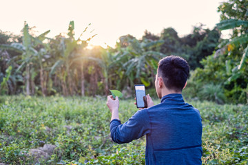 Young modern farmer using the mobile phone technology  in agricultural field.