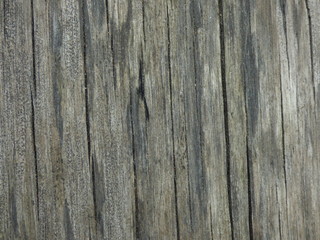 wood texture background