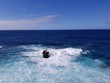 Ozean, Wellen, Meer, Atlantik, Meerwasser, Fuerteventura 