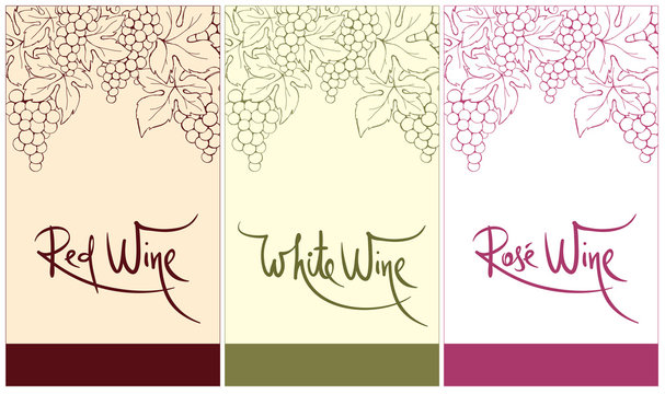 Label for red, white and rose wine. Vector illustration, set floral design element
