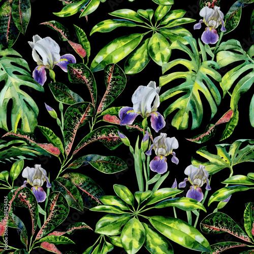 Seamless watercolor tropical pattern with green schefflera arboricola plant  ...